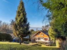 alpine property, property for sale, property to rent , swiss property for sale