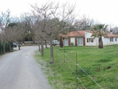 Calme, Argelès-sur-Mer, Pyrénées-Orientales