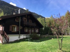 alpine property, property for sale, property to rent , swiss property for sale