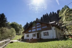 alpine property, property for sale, property to rent , swiss property for sale