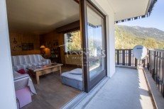 alpine property, property for sale, property to rent , swiss property for sale