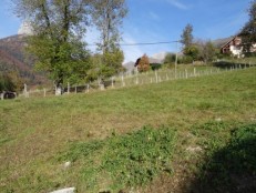 alpine property, property for sale, property to rent , swiss property for sale