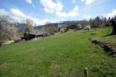 alpine property, property for sale, property to rent , swiss property for sale