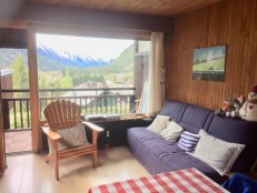 alpine property, property for sale, property to rent , swiss property for sale