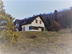 alpine property, property for sale, property to rent , swiss property for sale