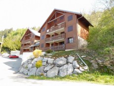 Morzine - Quick Sales Price !