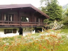 alpine property, property for sale, property to rent , swiss property for sale