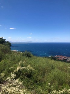 Collioure, Pyrénées-Orientales