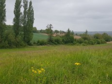 L'isle en dodon, Montesquieu-Guittaut, Haute-Garonne