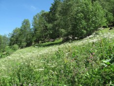 Pistes 15 min, Planay, Savoie