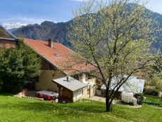 alpine property, property for sale, property to rent , swiss property for sale