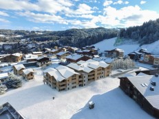 alpine property, property for sale, property to rent , swiss property for sale