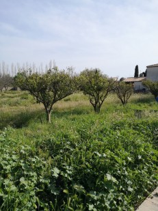 Rivesaltes, Pyrénées-Orientales