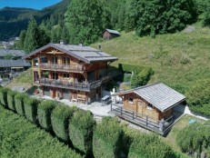 alpine property, property for sale, property to rent , swiss property for sale