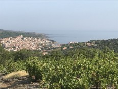 Banyuls-sur-Mer, Pyrénées-Orientales