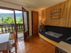 alpine property, property for sale, property to rent , swiss property for sale