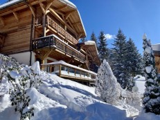 alpine property, property for sale, property to rent , swiss property for sale