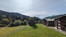 alpine property, property for sale, property to rent , swiss property for sale