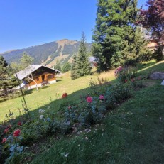 alpine property, property for sale, property to rent , swiss property for sale