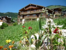 alpine property, property for sale, property to rent , swiss property for sale