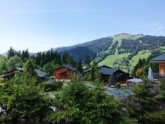 alpine property, property for sale, property to rent , swiss property for sale