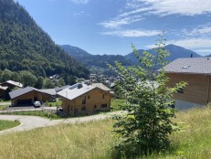 alpine property, property for sale, property to rent , swiss property for sale