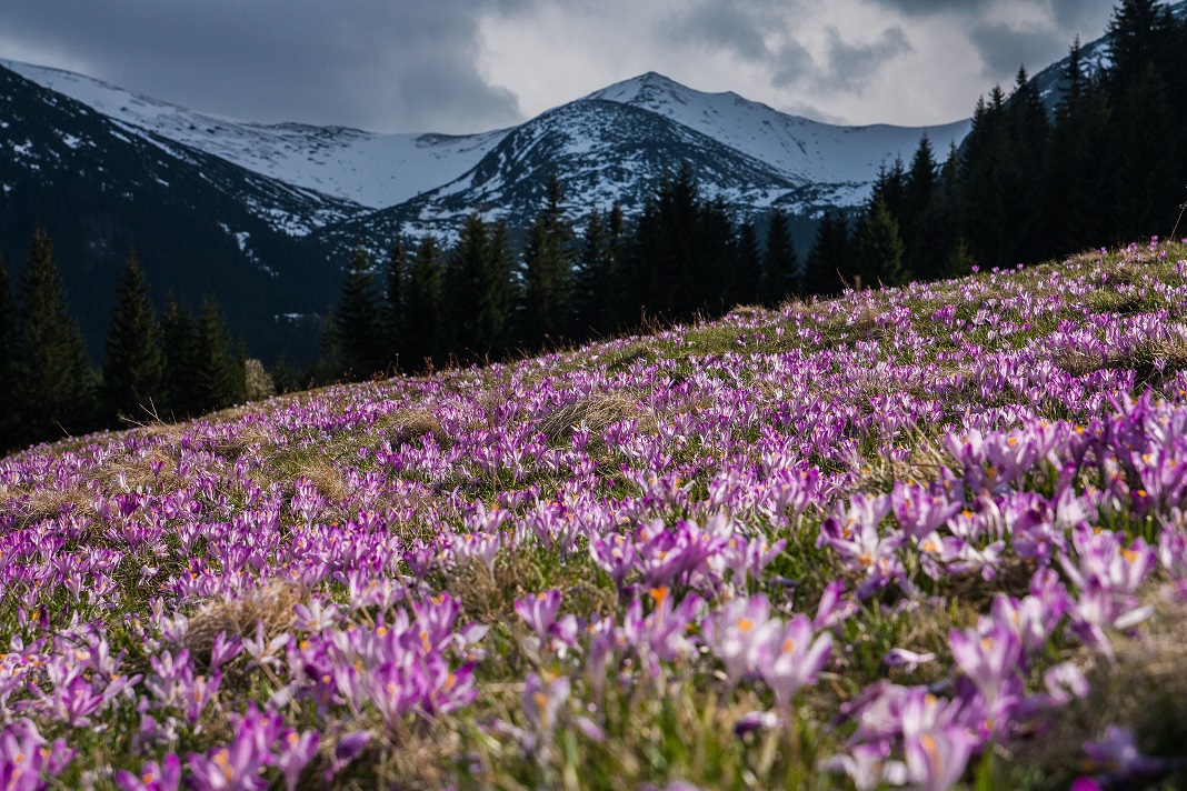 Spring In The Alps Is A Good Time To View Ski Property